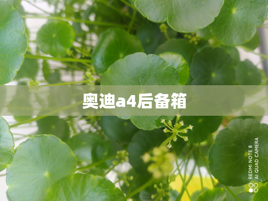 奥迪a4后备箱