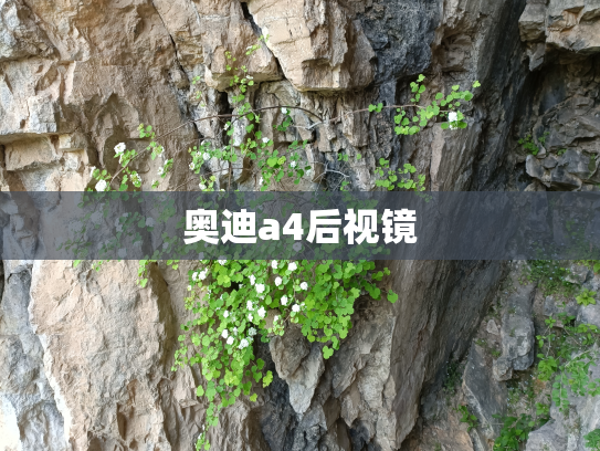 奥迪a4后视镜