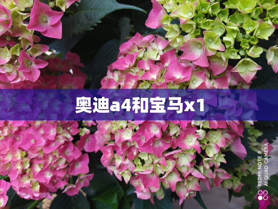 奥迪a4和宝马x1