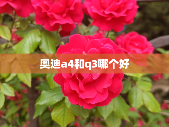 奥迪a4和q3哪个好