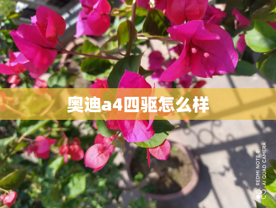 奥迪a4四驱怎么样