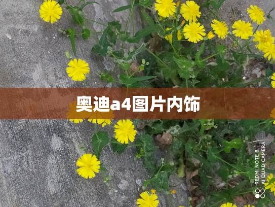 奥迪a4图片内饰