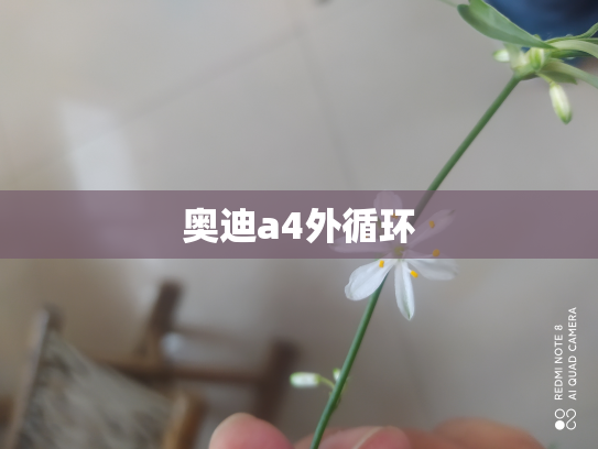 奥迪a4外循环