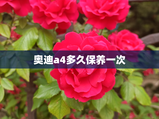 奥迪a4多久保养一次