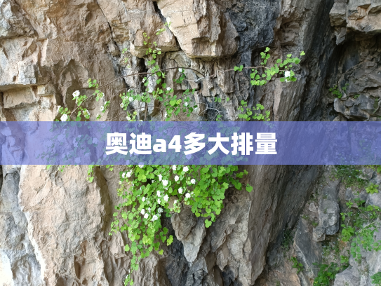 奥迪a4多大排量
