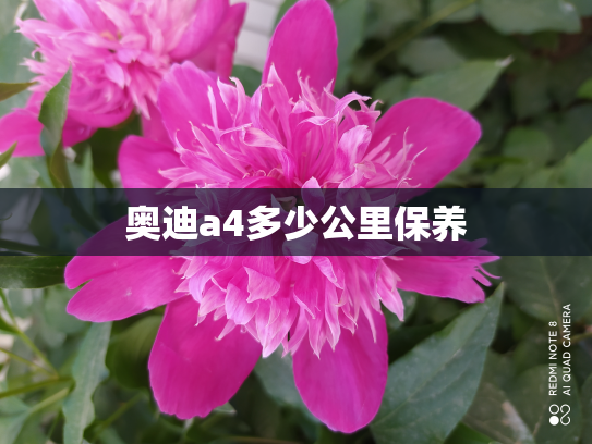 奥迪a4多少公里保养