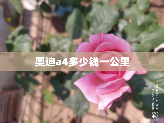 奥迪a4多少钱一公里