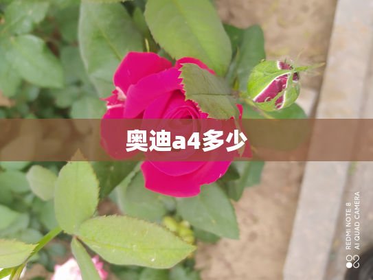 奥迪a4多少