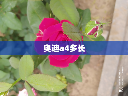 奥迪a4多长