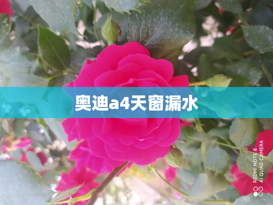 奥迪a4天窗漏水
