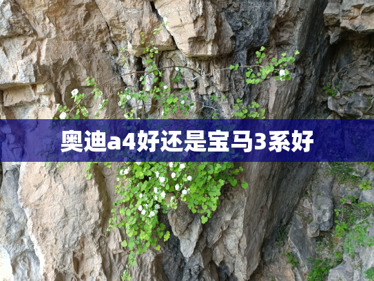 奥迪a4好还是宝马3系好