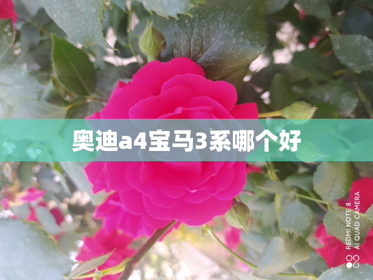 奥迪a4宝马3系哪个好