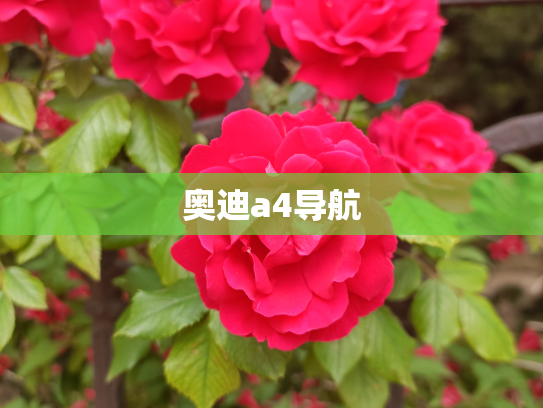 奥迪a4导航