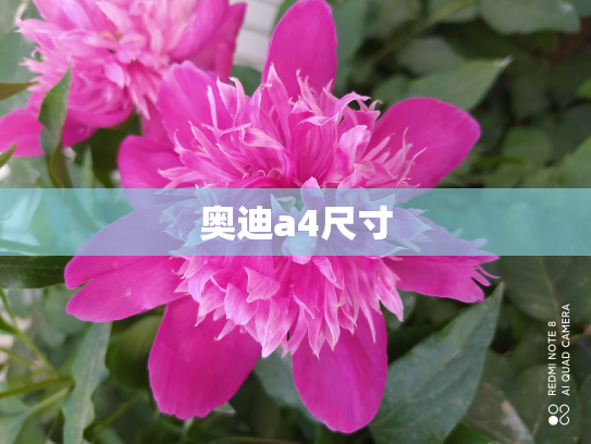 奥迪a4尺寸