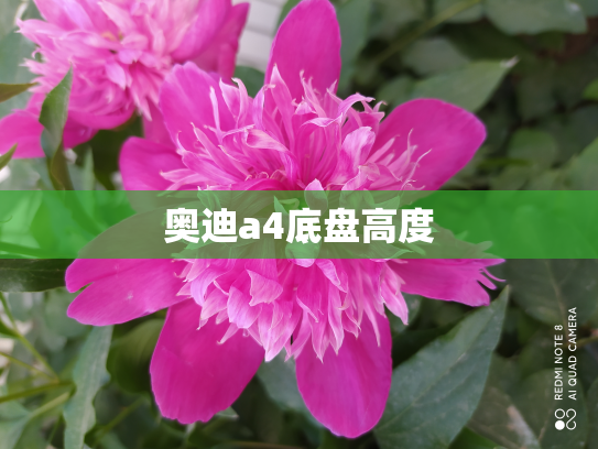 奥迪a4底盘高度