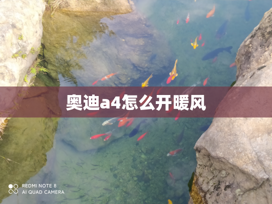 奥迪a4怎么开暖风