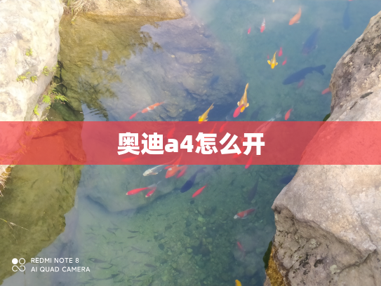 奥迪a4怎么开