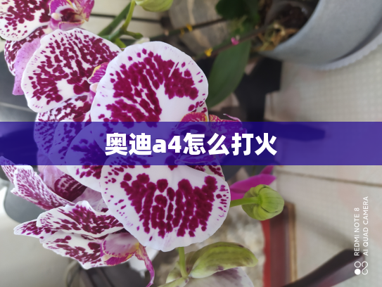 奥迪a4怎么打火
