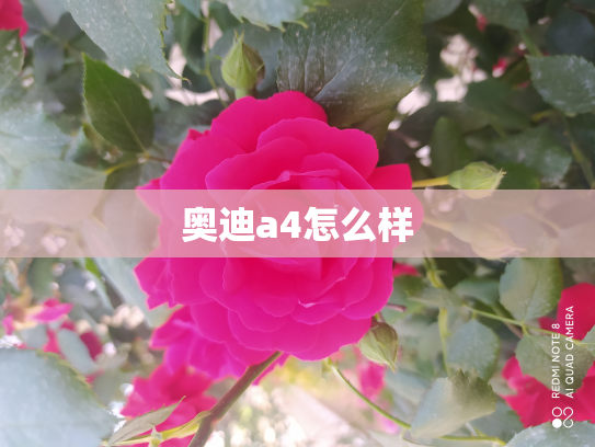 奥迪a4怎么样