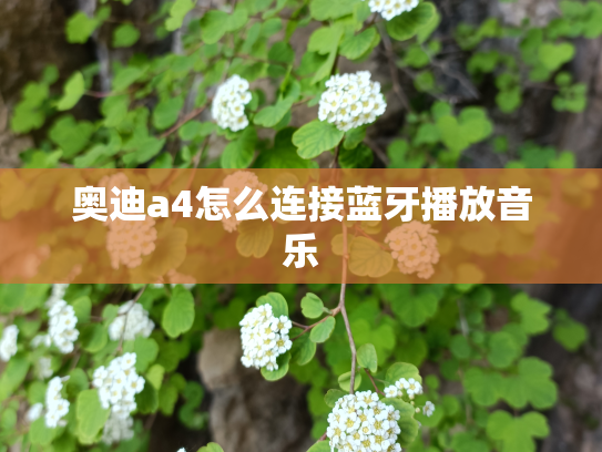 奥迪a4怎么连接蓝牙播放音乐