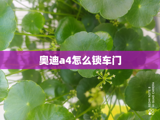 奥迪a4怎么锁车门