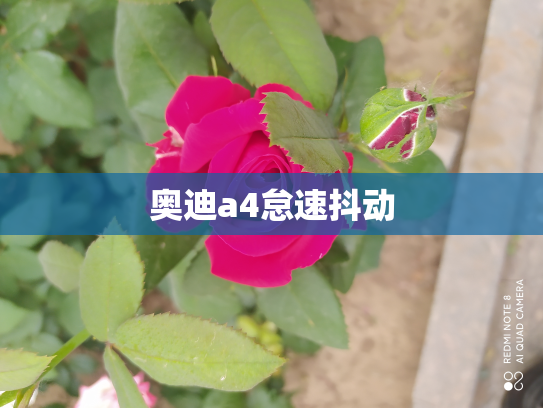 奥迪a4怠速抖动