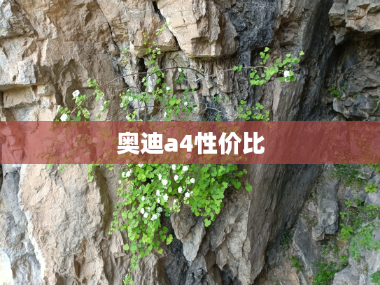 奥迪a4性价比