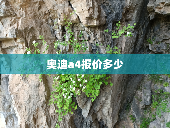 奥迪a4报价多少