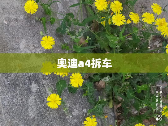 奥迪a4拆车