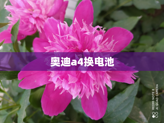 奥迪a4换电池