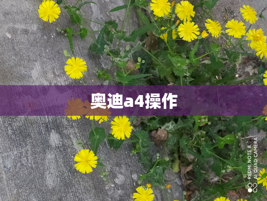 奥迪a4操作