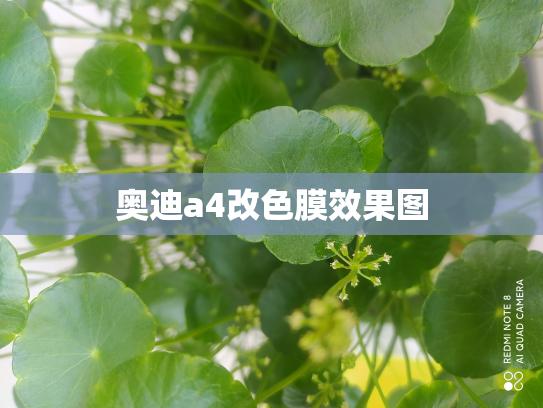 奥迪a4改色膜效果图