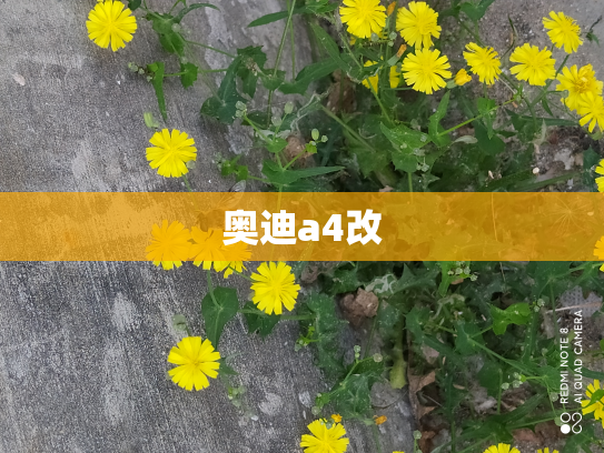 奥迪a4改