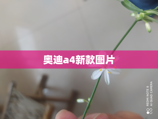 奥迪a4新款图片
