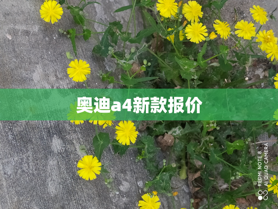 奥迪a4新款报价