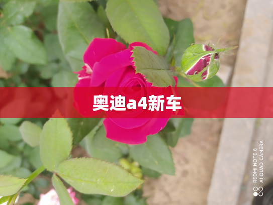 奥迪a4新车