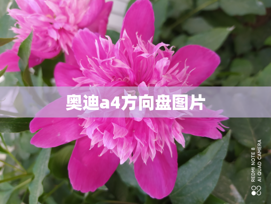 奥迪a4方向盘图片