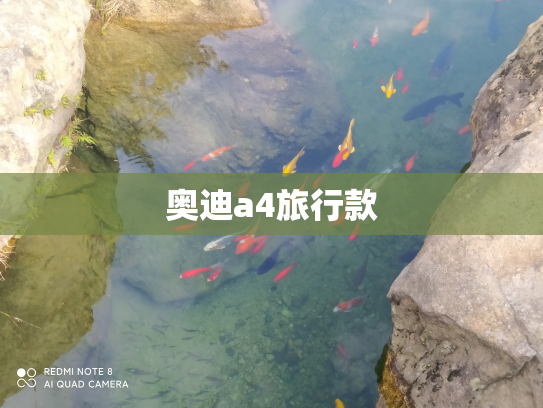 奥迪a4旅行款