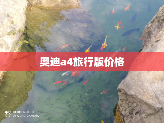 奥迪a4旅行版价格