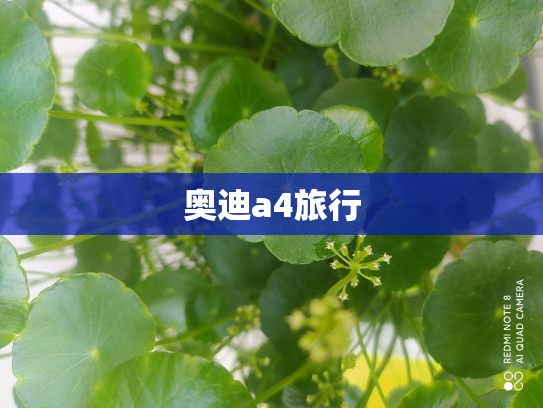 奥迪a4旅行