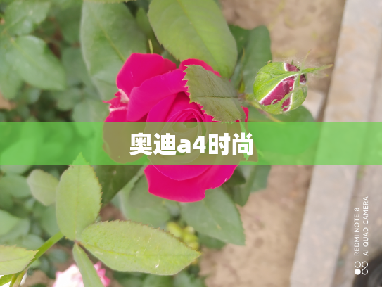 奥迪a4时尚