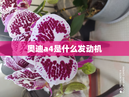 奥迪a4是什么发动机