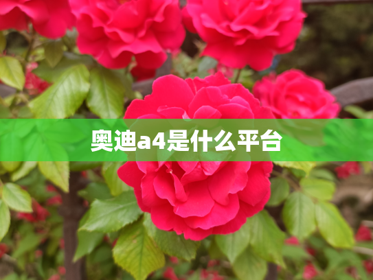 奥迪a4是什么平台
