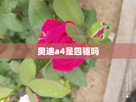 奥迪a4是四驱吗