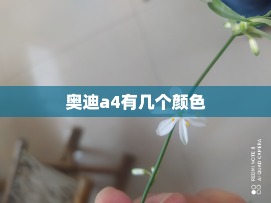 奥迪a4有几个颜色