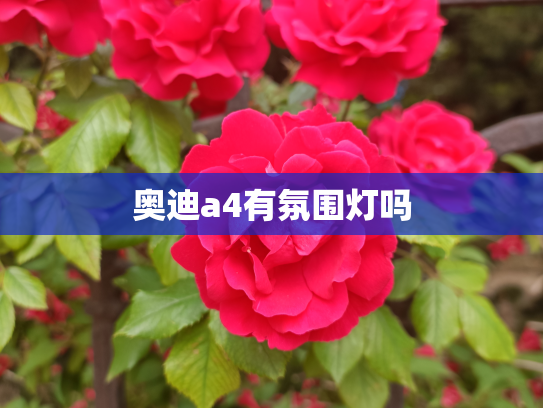 奥迪a4有氛围灯吗