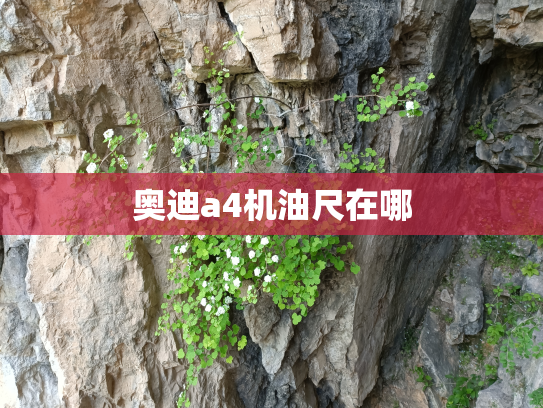 奥迪a4机油尺在哪