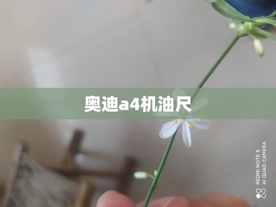 奥迪a4机油尺