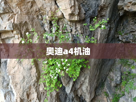 奥迪a4机油