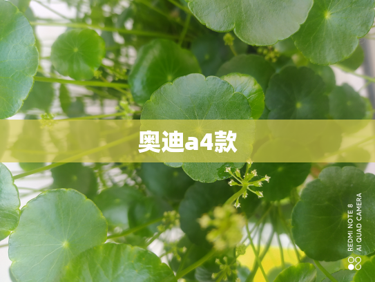 奥迪a4款